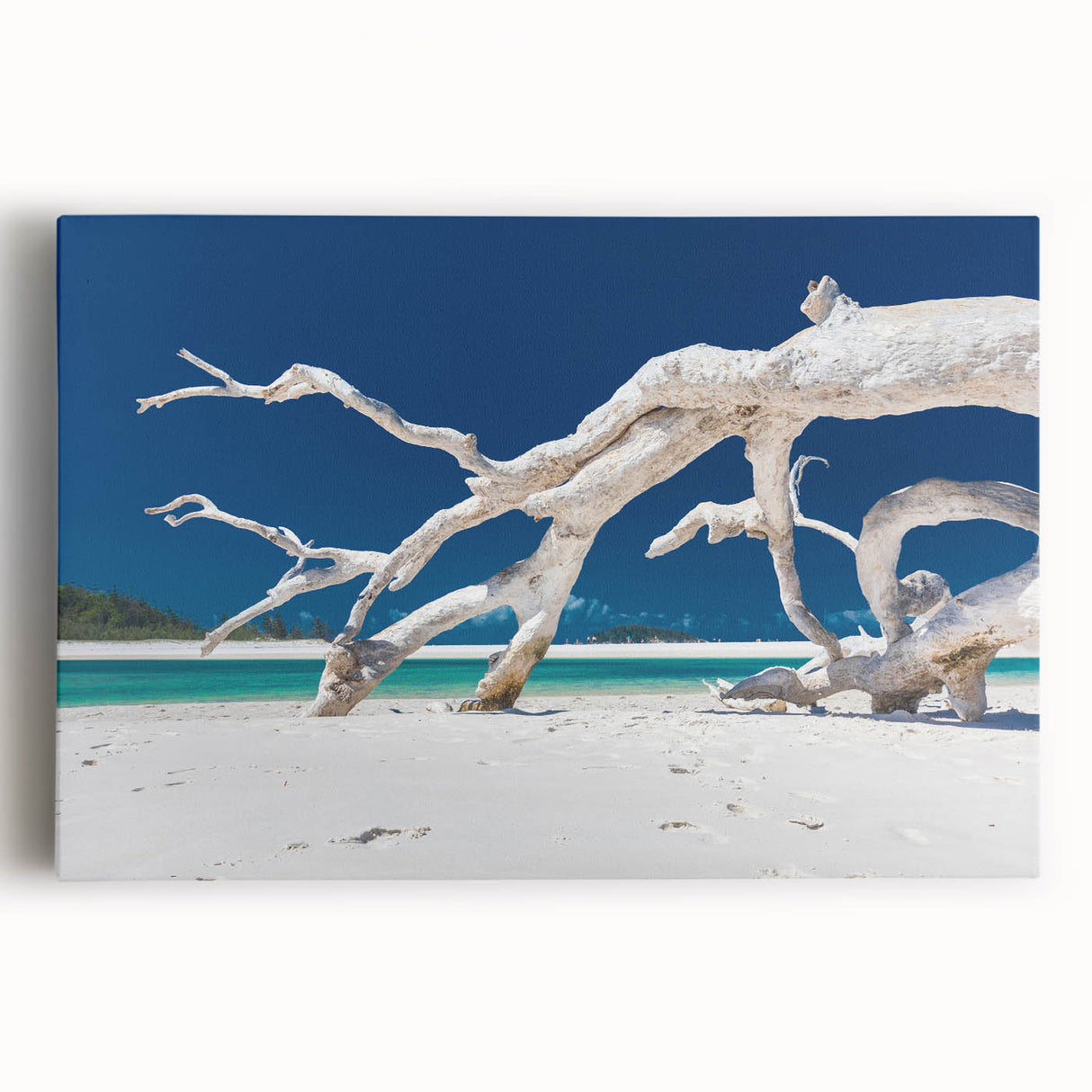 Black and white stretched canvas of Australian scenery, ideal for kitchen wall art or bedroom ambiance.