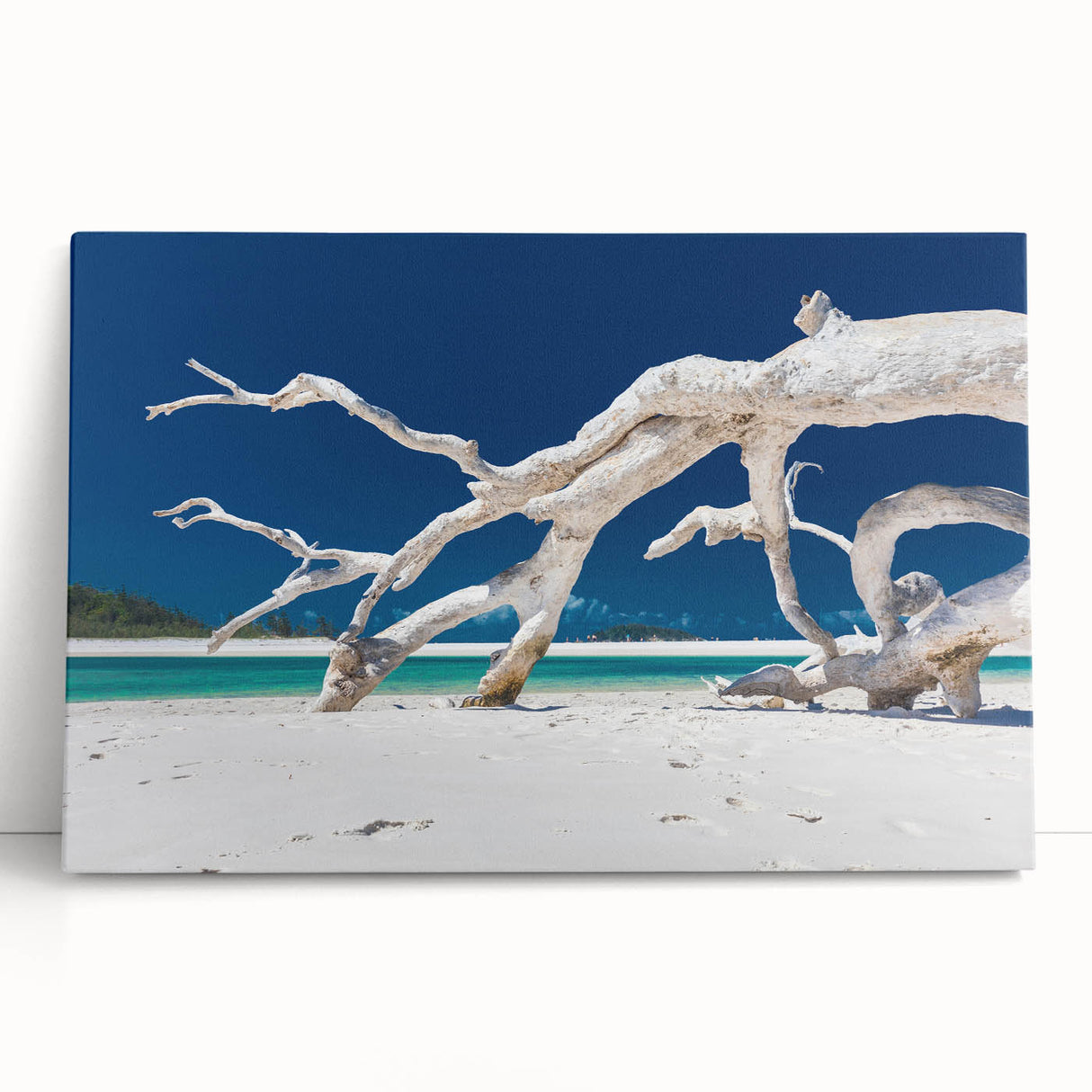 Black and white stretched canvas of an expansive Australian landscape, ideal for kitchen wall art.