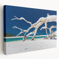 Large wall art depicting the Australian scenery on stretched canvas, featuring earthy tones, ideal for kitchen wall decor.