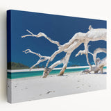 Large wall art depicting the Australian scenery on stretched canvas, featuring earthy tones, ideal for kitchen wall decor.