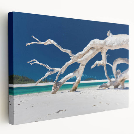 Large wall art depicting the Australian scenery on stretched canvas, featuring earthy tones, ideal for kitchen wall decor.