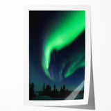 Extra large rolled print of a serene Manitoba landscape scene, featuring subtle floral elements in soft earth tones.