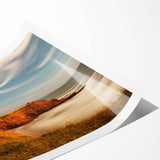 Extra large wall art featuring line art flowers in soft pastel shades on a rolled print.