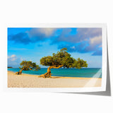 Extra large rolled canvas print of a Caribbean Aruba scenery with vibrant blue and green tones.