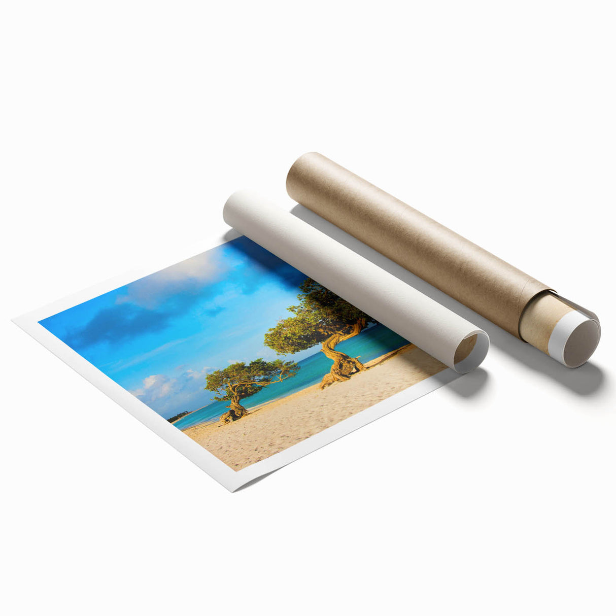 Extra large rolled print of a Caribbean Aruba scenery with vibrant floral art, ideal for classy bathroom wall art.