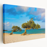 Large art of Caribbean Aruba scenery on stretched canvas, featuring vivid blue and green tones, ideal for kitchen wall art.