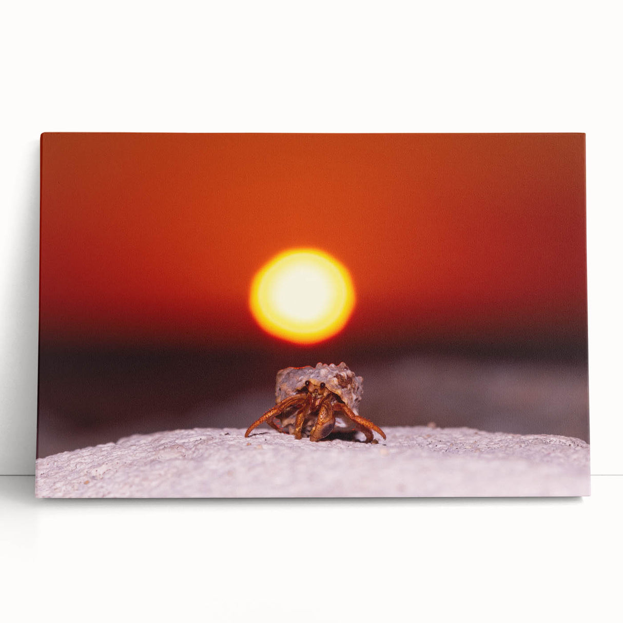 Black and white stretched canvas of Caribbean scenery, ideal for kitchen wall art.