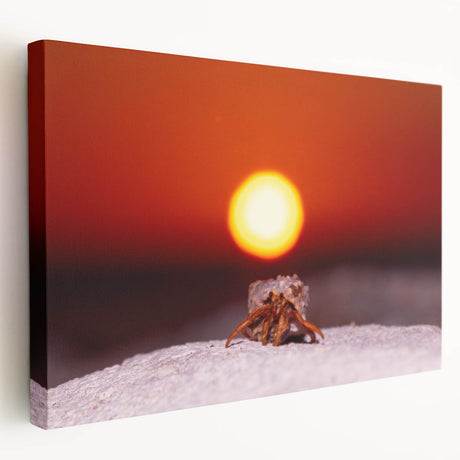 Large canvas print of a serene Caribbean beach scene with soft blue and white tones, ideal for kitchen wall art.