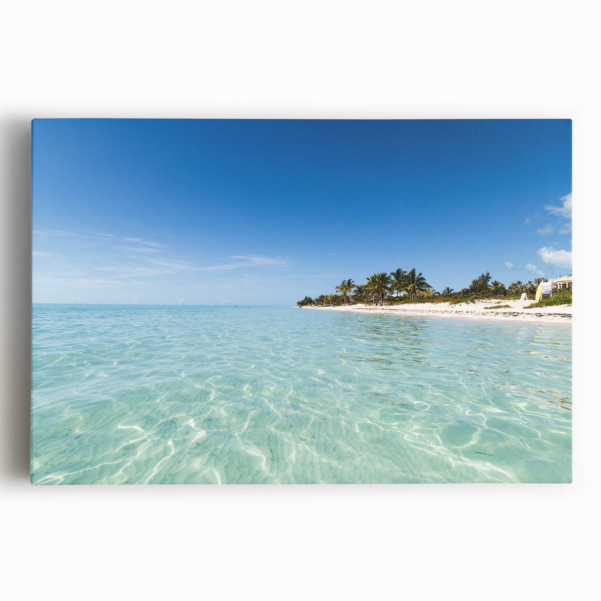 Black and white stretched canvas of Caribbean scenery, ideal for kitchen wall art or bedroom ambiance.