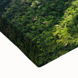 Black and white landscape painting of Belize on a large canvas, suitable for bedroom wall art.