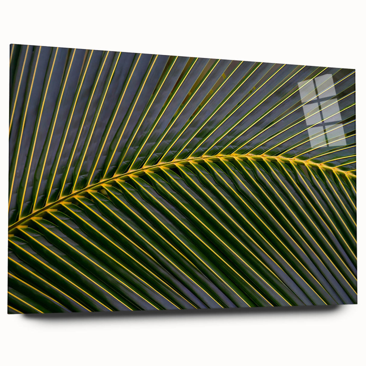 Large abstract wall art depicting a vibrant Costa Rican landscape on acrylic glass, ideal for bedroom or dining room decor.