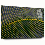 Large abstract wall art depicting a vibrant Costa Rican landscape on acrylic glass, ideal for bedroom or dining room decor.