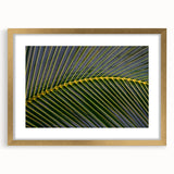 Extra large abstract art print of a textured Central American landscape in muted earth tones, framed in gold.