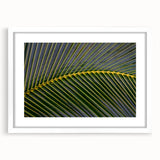 Abstract art print depicting a vibrant Costa Rican landscape in a white frame, ideal for dining room decor.