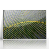 Acrylic print of a Costa Rican landscape in art deco style, featuring lush greenery and a white frame.