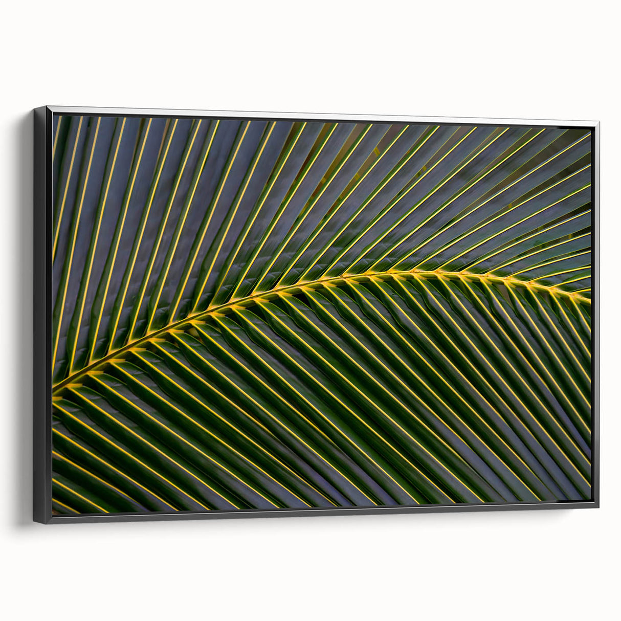Black and white landscape art painting of Costa Rica on framed canvas, suitable for bedroom wall decor.