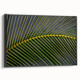 Black and white landscape art painting of Costa Rica on framed canvas, suitable for bedroom wall decor.