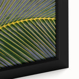 Framed canvas featuring a textured, colorful Costa Rican landscape in black, ideal for extra large living room wall art.