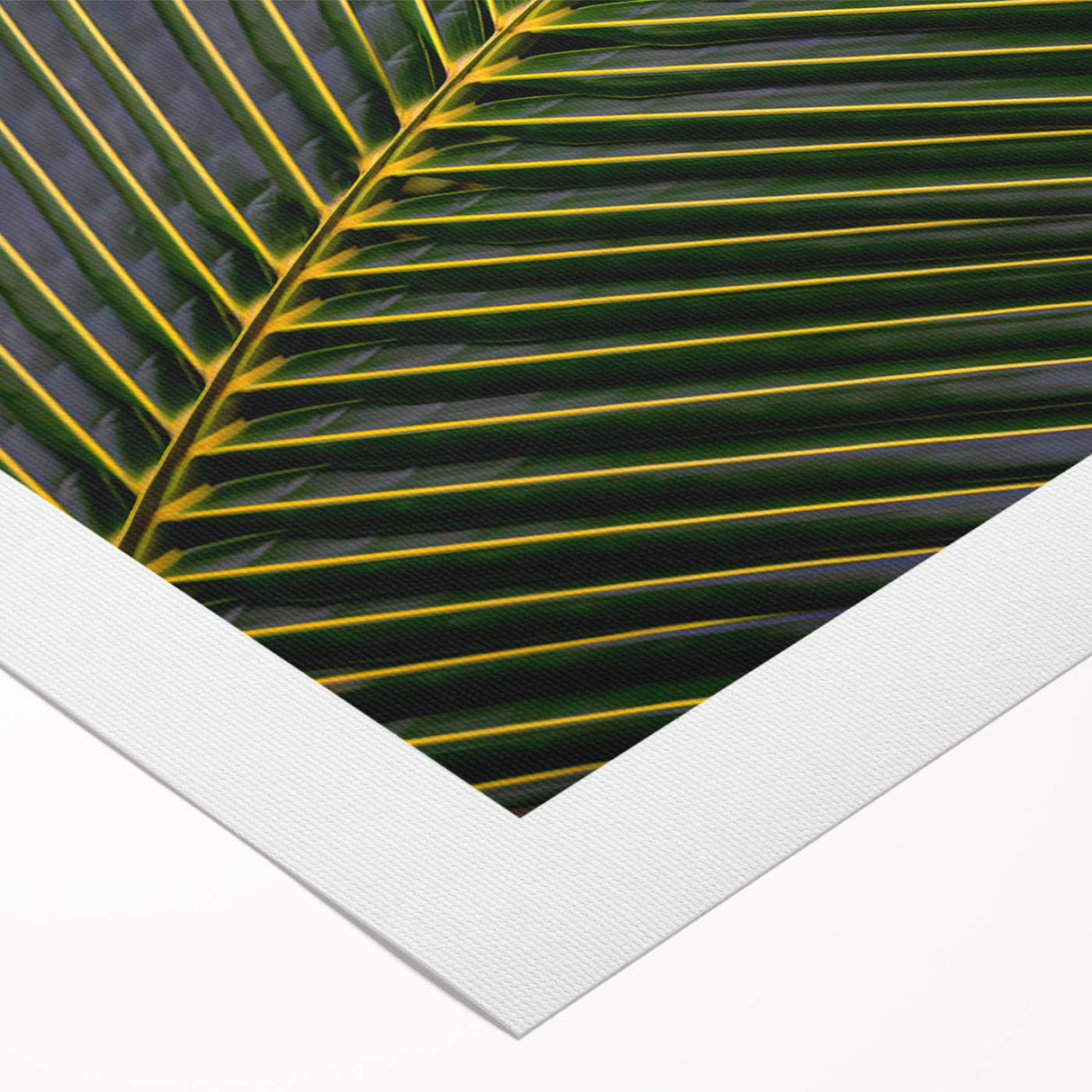 Art deco poster of a Costa Rican landscape in vibrant green and blue tones on rolled canvas, ideal for dining room wall art.