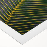 Art deco poster of a Costa Rican landscape in vibrant green and blue tones on rolled canvas, ideal for dining room wall art.