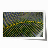 Extra large rolled print of a Costa Rican landscape with vibrant green foliage and soft blue sky.