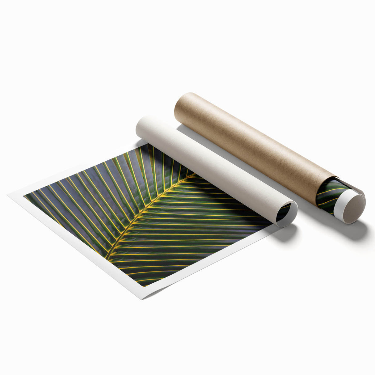 Extra large rolled print of Costa Rica scenery with vibrant green and blue tones, ideal for classy bathroom wall art.