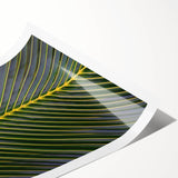 Extra large wall art featuring line art flowers in muted earth tones on a rolled print, ideal for large living room decor.