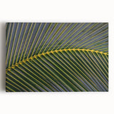 Black and white stretched canvas of a Costa Rican landscape, ideal for kitchen wall art.