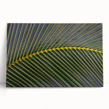 Black and white stretched canvas of Central American scenery, ideal for kitchen wall art or bedroom ambiance.