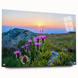 Large abstract wall art depicting a serene Bulgarian landscape in muted earth tones on acrylic glass.