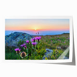 Extra large rolled print of a Bulgarian landscape with vibrant greenery and soft sky, ideal for art wall dining room.