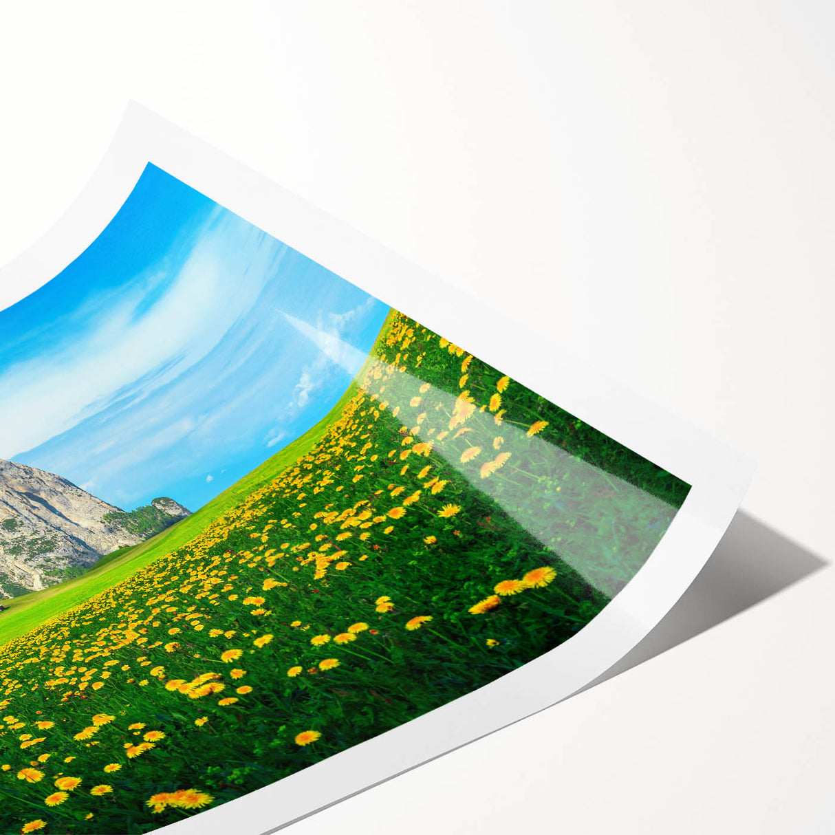 Extra large rolled print of Dolomites scenery with line art flowers in soft pastel shades.