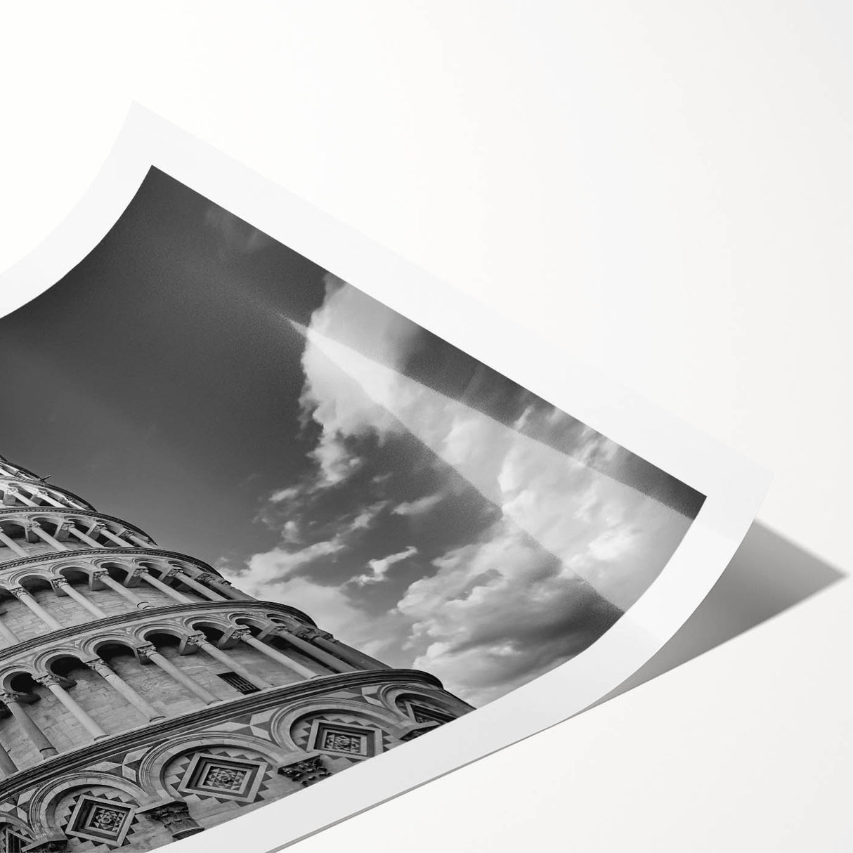 Extra large wall art featuring line art flowers over a scenic backdrop of Pisa, Italy, printed on rolled canvas.