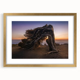 Abstract art print of Canary Islands scenery in gold frame, ideal for dining room decor.