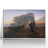 Mid-century modernist art depicting a serene Canary Islands landscape in muted earth tones, framed acrylic.