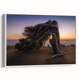 Vintage poster art of a scenic European landscape in vibrant colors on a framed canvas, ideal for living room decor.