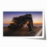 Extra large rolled print of a scenic European landscape with vibrant green and blue tones, ideal for art wall dining room.