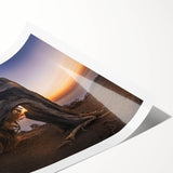 Extra large wall art featuring line art flowers in muted tones on a rolled canvas, ideal for large living room decor.