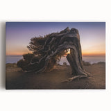 Black and white stretched canvas of a scenic European village, ideal for kitchen wall art.