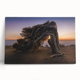 Large black and white photo of a European coastal town on stretched canvas, suitable for kitchen wall art.