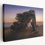 Side view of a stretched canvas depicting a scenic European landscape with muted earth tones, ideal for kitchen wall art.