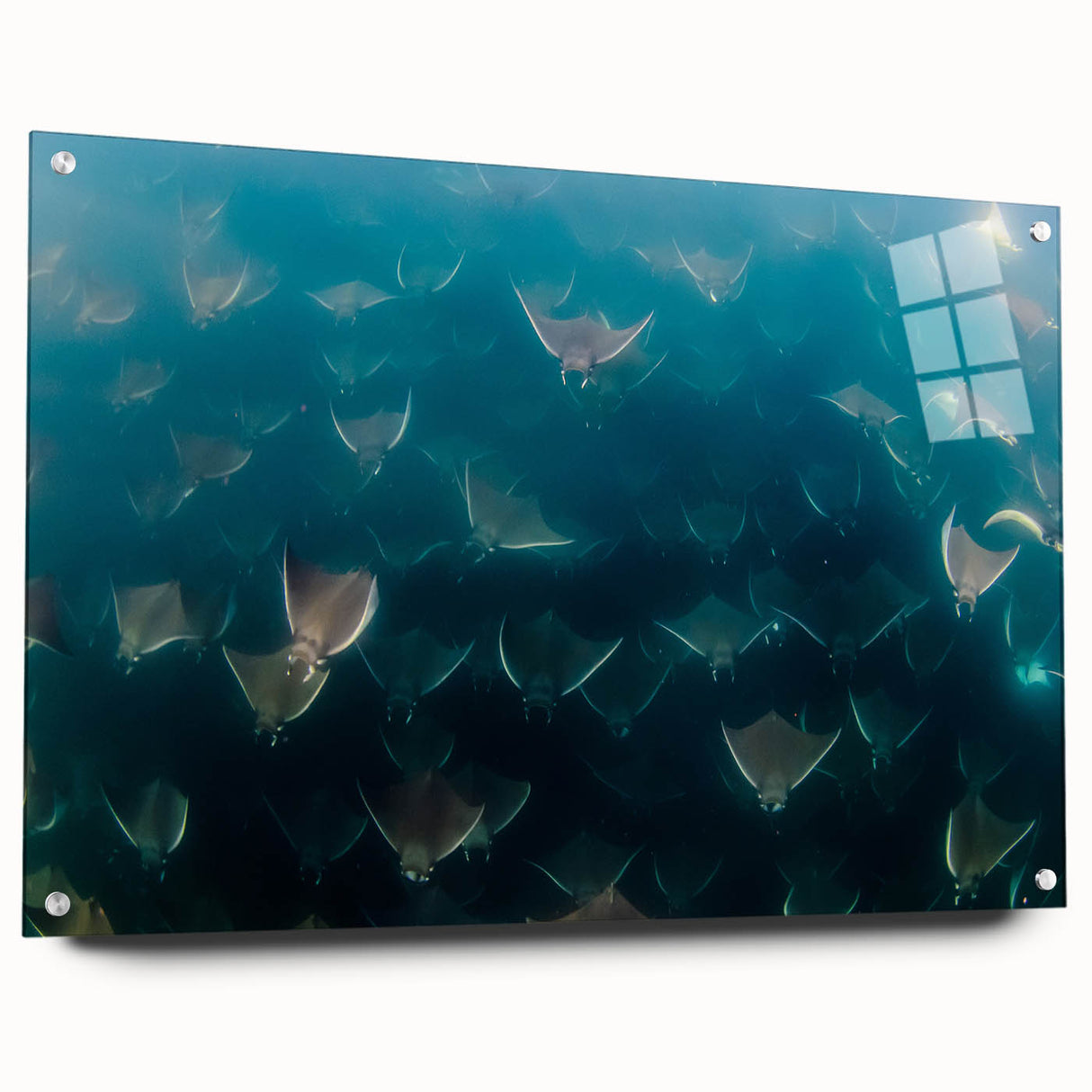 Large abstract wall art of Baja California scenery in muted earth tones on acrylic glass.