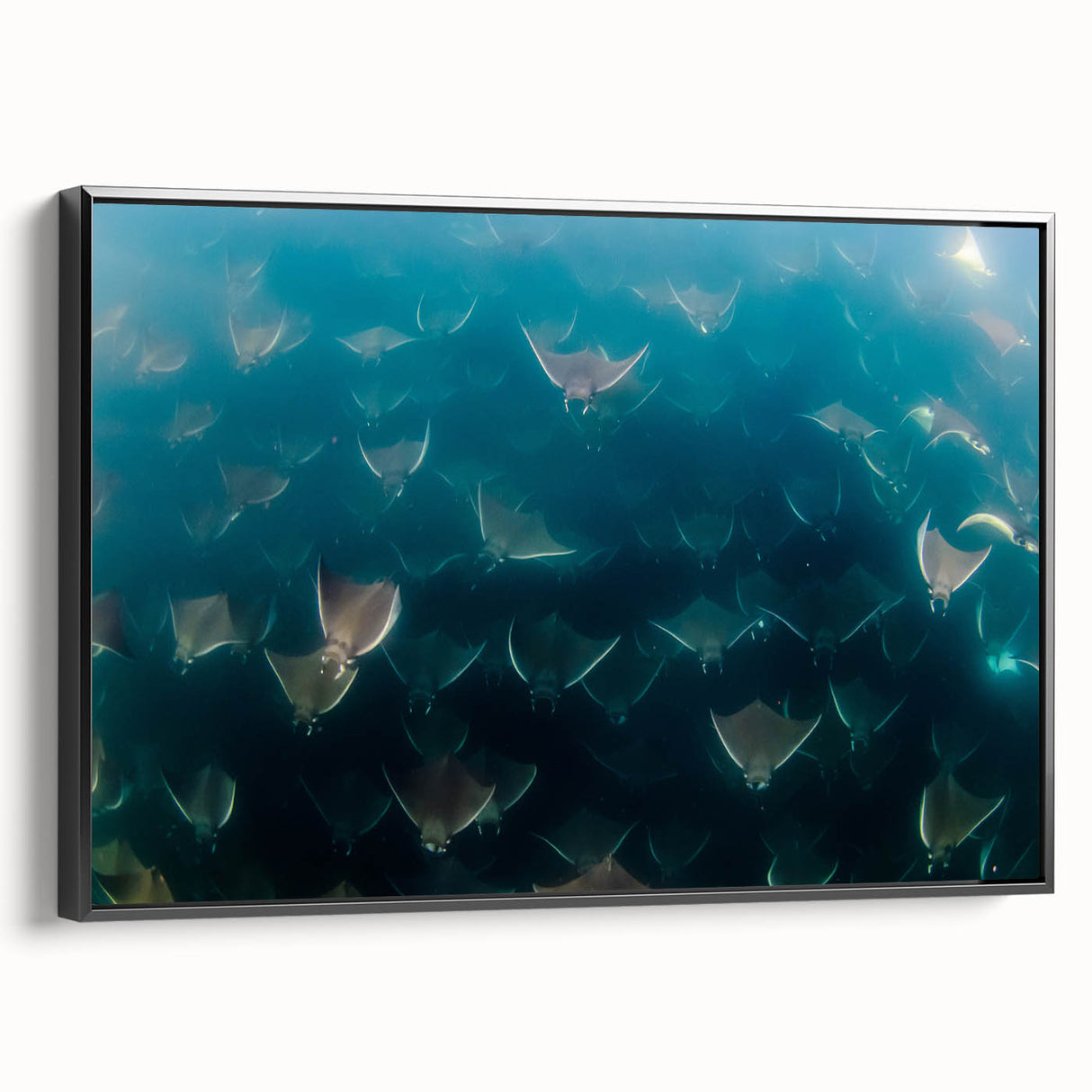 Black and white framed canvas of Baja California landscape, ideal for bedroom wall art.