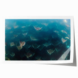 Extra large rolled print of Baja California scenery with vibrant floral elements, ideal for classy bathroom wall art.