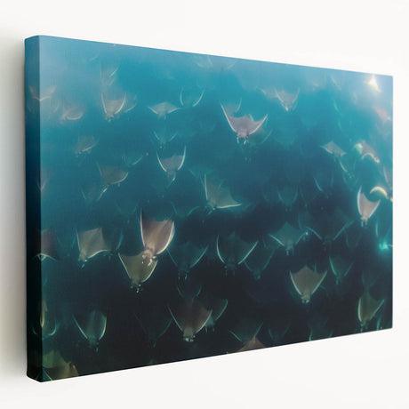 Large stretched canvas depicting the Baja California scenery in muted earth tones, suitable for kitchen wall art.