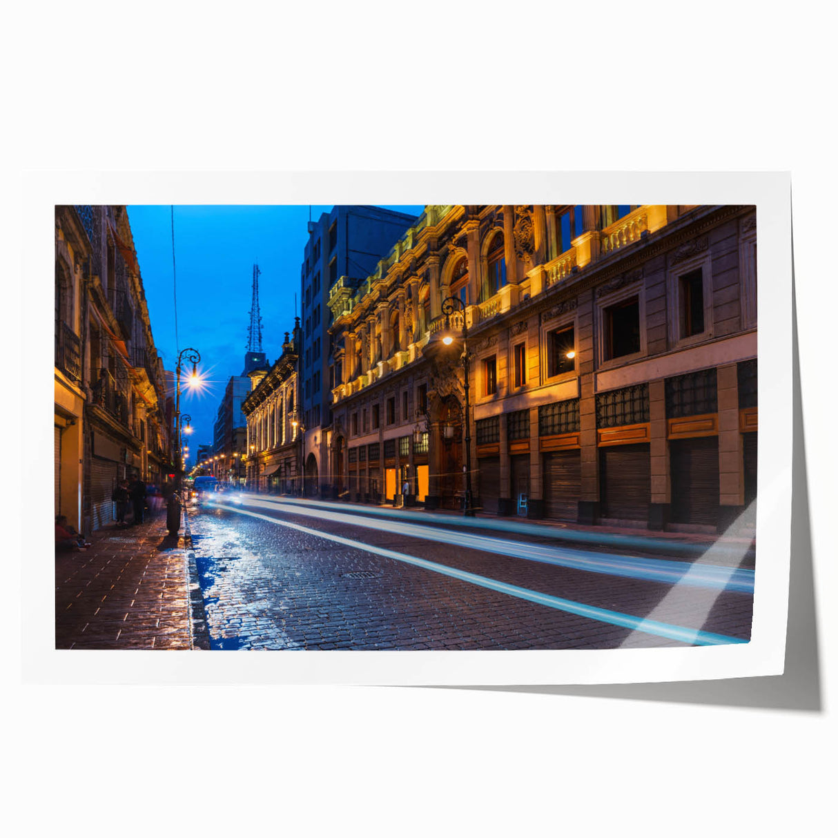 Rolled print of Mexico City scenery with vibrant floral elements, ideal for art wall dining room.