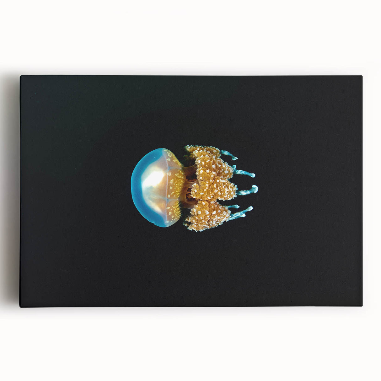 Black and white stretched canvas of oceanic scenery, ideal for kitchen wall art.