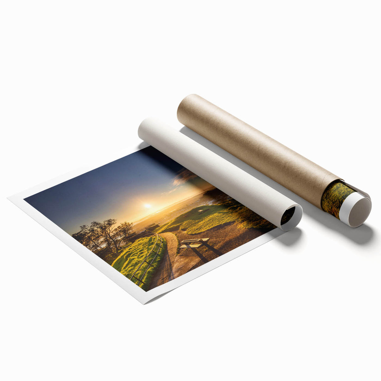 Extra large rolled print of Auckland skyline with floral accents in soft blue and green tones.