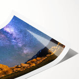 Extra large wall art featuring line art flowers in muted earth tones on a rolled print, suitable for large living room decor.