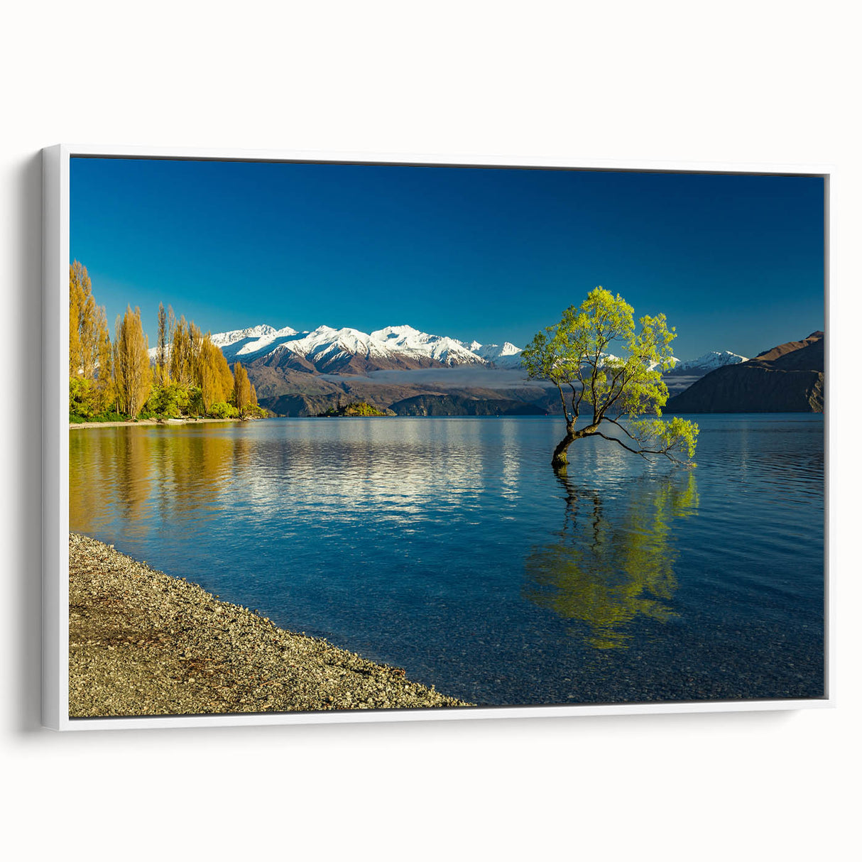 Vintage poster art of Otago, New Zealand scenery in vibrant colors on a large framed canvas, suitable for living room decor.